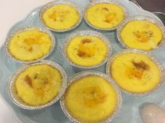 -三花喵·撸猫购宠·宠物生活馆(虹桥南丰城店)