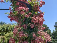 -阿方索十二世纪念碑