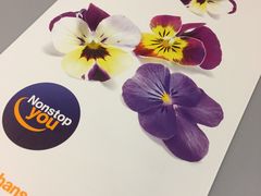 -德国汉莎航空公司