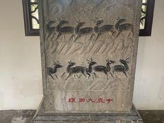 -上海醉白池公园