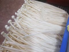 -东山羊庄(八卦岭店)