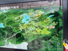 -深圳仙湖植物园