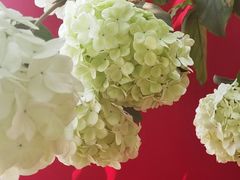 -大龙山(地铁站)