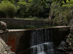 -大奇山国家森林公园