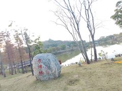 -王借岗森林公园