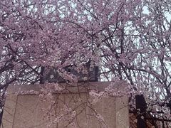 -新世界小天星幼儿园(尚景园)