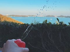 -天目湖涵田半山温泉