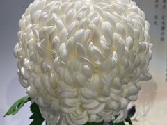 -汇龙潭