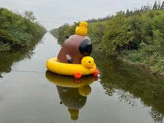 -黄海国家森林公园