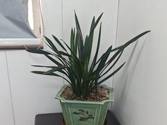 -兔博士口腔(长安分院)