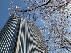 -无锡新湖铂尔曼大酒店