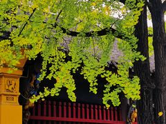 -成都市文殊院