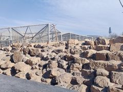 -太原动物园