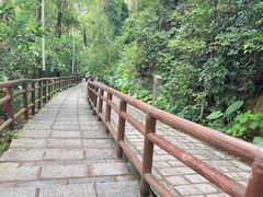 -水濂山森林公园