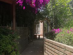 -三圣花乡旅游区