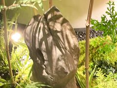 -绿茶餐厅(淮安吾悦广场店)