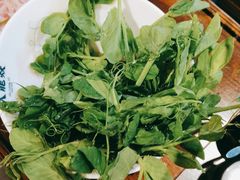 -大龙燚火锅(春熙店)