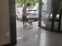 -半岛宠物医院24小时(科华中路店)