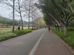 -顺峰山公园