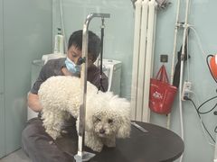 -中农大我爱我爱动物医院·核磁CT·猫病·24小时夜诊中心(石佛营店)