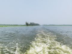 -微山湖红荷湿地景区