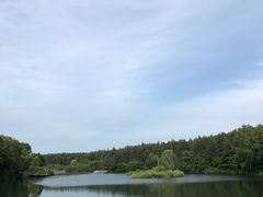 -美人松苑