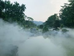 -东莞植物园