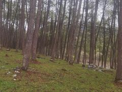 -硗碛藏寨·神木垒景区