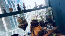 店内环境-周忆刺青原创设计定制