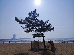 -青岛第一海水浴场