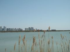 -天津东丽湖风景区