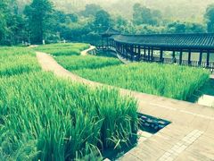 -龙头寺公园