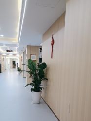 -上海伊莱美医疗美容医院