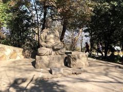 -紫金山山顶公园