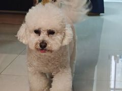 -艾贝尔宠物医院 ·内科全科(梁溪路店)