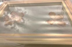 -EMU艺慕摄影(扬中店)