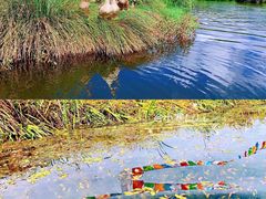 -丽江泸沽湖景区