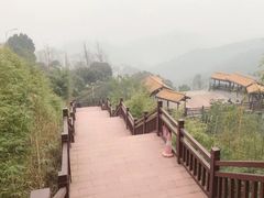 -铁山坪森林公园