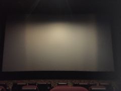 放映厅-嘉华国际影城(学清路店)