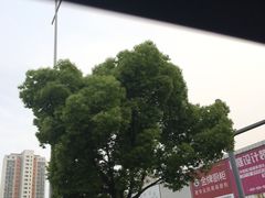 -华东装饰城