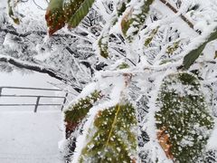 -萍乡武功山风景名胜区