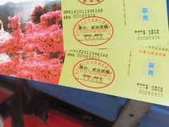 -木兰云雾山