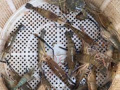 -粮心小农·大头虾亲子生态园(长发店)