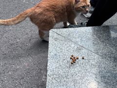 -晓港公园