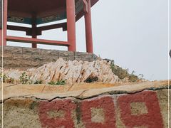 -金龙寺国家森林公园