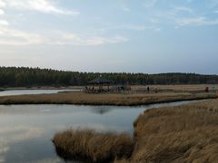 -塞罕坝国家级自然保护区