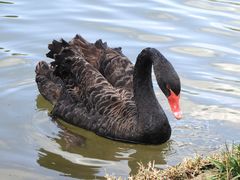 -湖泉水云间餐厅·弥勒地道菜(B座店)