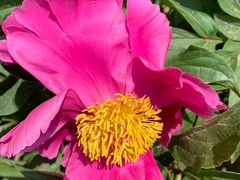 -北京麋鹿生态实验中心