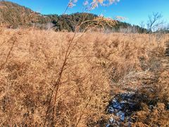 -北京鹫峰国家森林公园