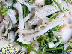 芫爆百叶-砂锅居(西四店)